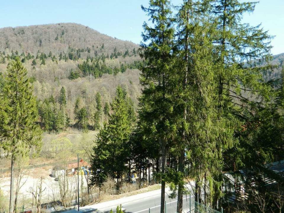 Casa Cristian Villa Sinaia Bagian luar foto